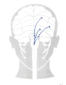 19- Th to Cortex-b