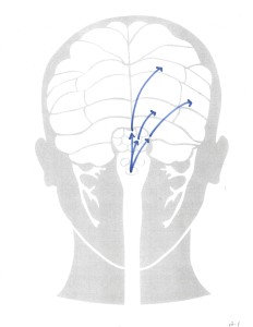 19- Th to Cortex-b