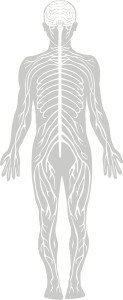 Ingebo_Standing_Nerves